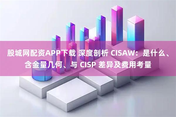 股城网配资APP下载 深度剖析 CISAW：是什么、含金量几何、与 CISP 差异及费用考量