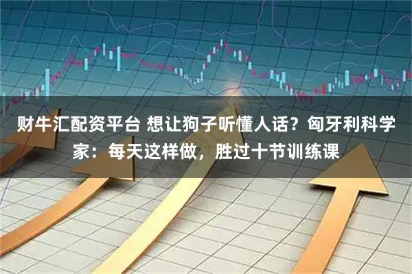 财牛汇配资平台 想让狗子听懂人话？匈牙利科学家：每天这样做，胜过十节训练课