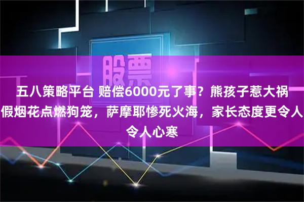 五八策略平台 赔偿6000元了事？熊孩子惹大祸，寒假烟花点燃狗笼，萨摩耶惨死火海，家长态度更令人心寒