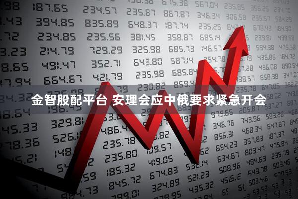 金智股配平台 安理会应中俄要求紧急开会