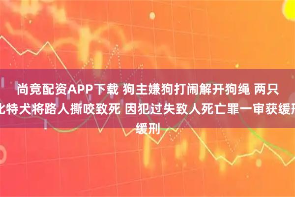 尚竞配资APP下载 狗主嫌狗打闹解开狗绳 两只比特犬将路人撕咬致死 因犯过失致人死亡罪一审获缓刑