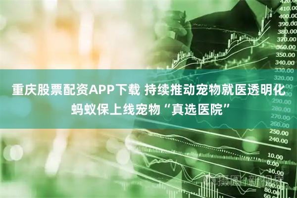 重庆股票配资APP下载 持续推动宠物就医透明化 蚂蚁保上线宠物“真选医院”