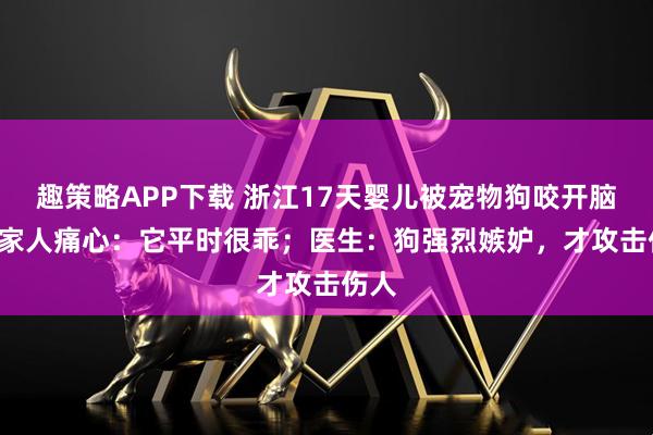 趣策略APP下载 浙江17天婴儿被宠物狗咬开脑袋! 家人痛心:它平时很乖;医生:狗强烈嫉妒,才攻击伤人